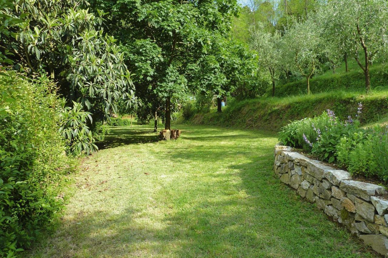 Holiday Home Casa Carla, Ripafratta Zewnętrze zdjęcie